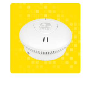 Smart Home