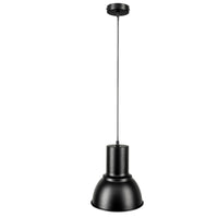 Brilliant Hugo Charcoal Pendant Light