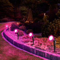 Brilliant Black Botanic Smart Wi-Fi RGB Garden Light Kit