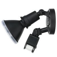 Brilliant Black Keeper PAR38 Security Floodlight with Sensor