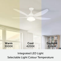 Brilliant Clover 142cm DC LED Light Ceiling Fan With Remote