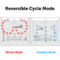 Brilliant Windhaven 142cm DC Ceiling Fan with Remote Black