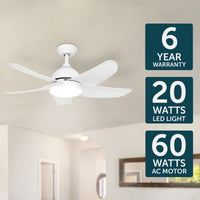 Brilliant Bellis 100cm AC Ceiling Fan with CCT LED Light And Remote