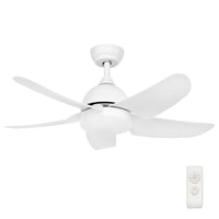 Brilliant Bellis 100cm AC Ceiling Fan with CCT LED Light And Remote