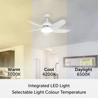 Brilliant Bellis 100cm AC Ceiling Fan with CCT LED Light And Remote