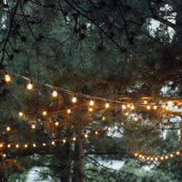 Brilliant Black Celebrate 20 Light Festoon Light Kit