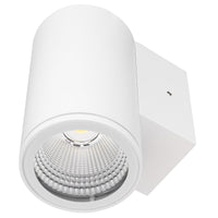 Brilliant Anka White 9W CCT Wall Light