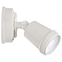 Brilliant Beige Raptor III Twin Flood Light