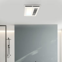 Brilliant White Nevada 4-In-1 Bathroom Heater